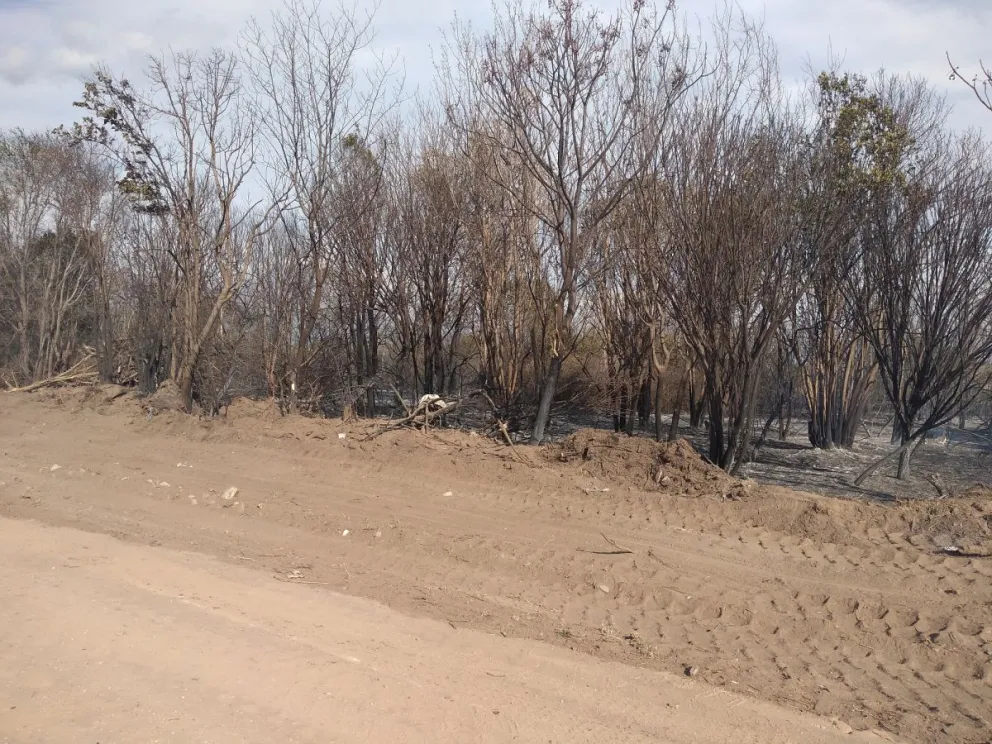 Incendio forestal en el barrio El Rosedal