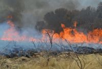 Incendio en Las Palomas: el viento complica el trabajo de bomberos y brigadistas