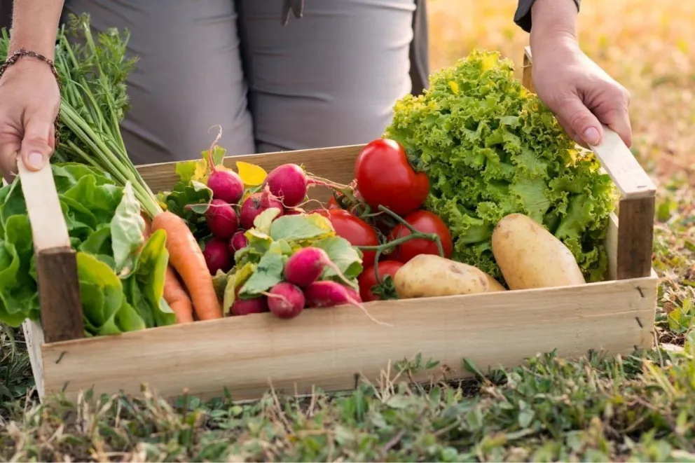 El viernes entrega de semillas de hortalizas en Merlo.