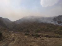 Se mantienen varios focos activos y otros con guardias de cenizas en toda la Provincia Se mantienen varios focos activos y otros con guardias de cenizas en toda la Provincia