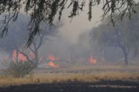 Preocupan los incendios en cinco ciudades de la provincia Preocupan los incendios en cinco ciudades de la provincia