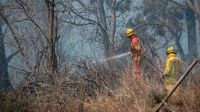 Conversatorios Virtuales sobre Incendios Forestales en la FTU Conversatorios Virtuales sobre Incendios Forestales en la FTU