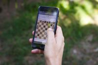Se realiza el Torneo nacional de ajedrez online Se realiza el Torneo nacional de ajedrez online