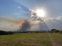 Sigue activo el incendio en Cerro de Oro Sigue activo el incendio en Cerro de Oro