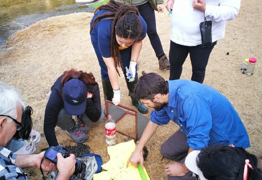 En la UNLC podés estudiar la Licenciatura en Paleontología: está abierta la inscripción 