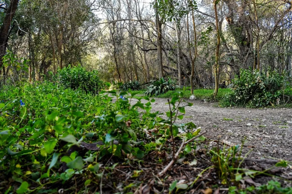 Persona buscada en Morón estaría en Villa de Merlo